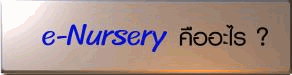 e-Nursery IP Camera